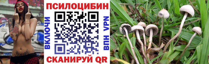 блэк спрут вход  Салехард  Псилоцибиновые грибы MAGIC MUSHROOMS 